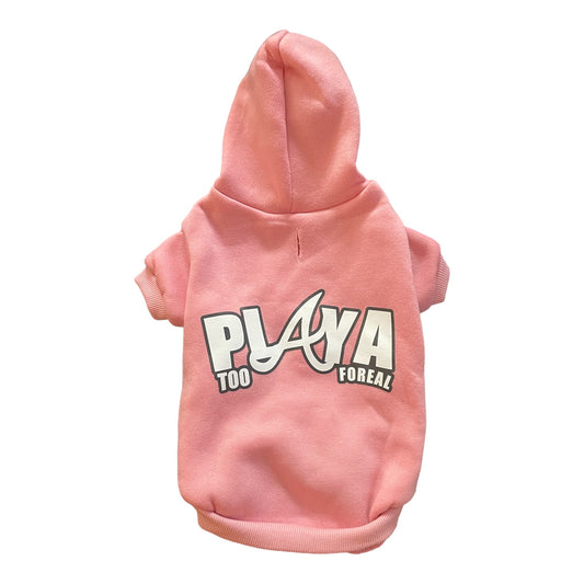 Pet Hoodie